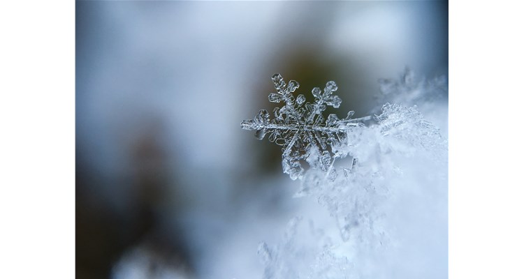 降溫了，這份健康指南，請轉(zhuǎn)給你關(guān)心的人！